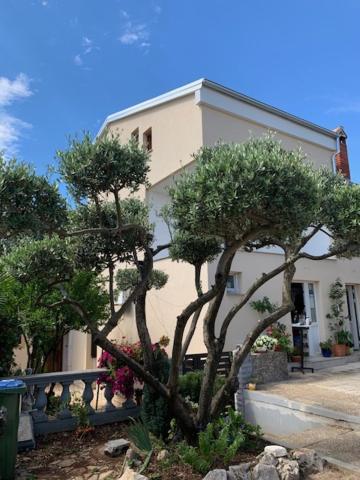 Taverna Coctel 포레치 외부 사진