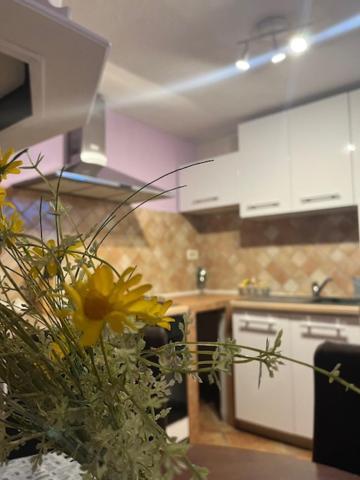 Taverna Coctel 포레치 외부 사진